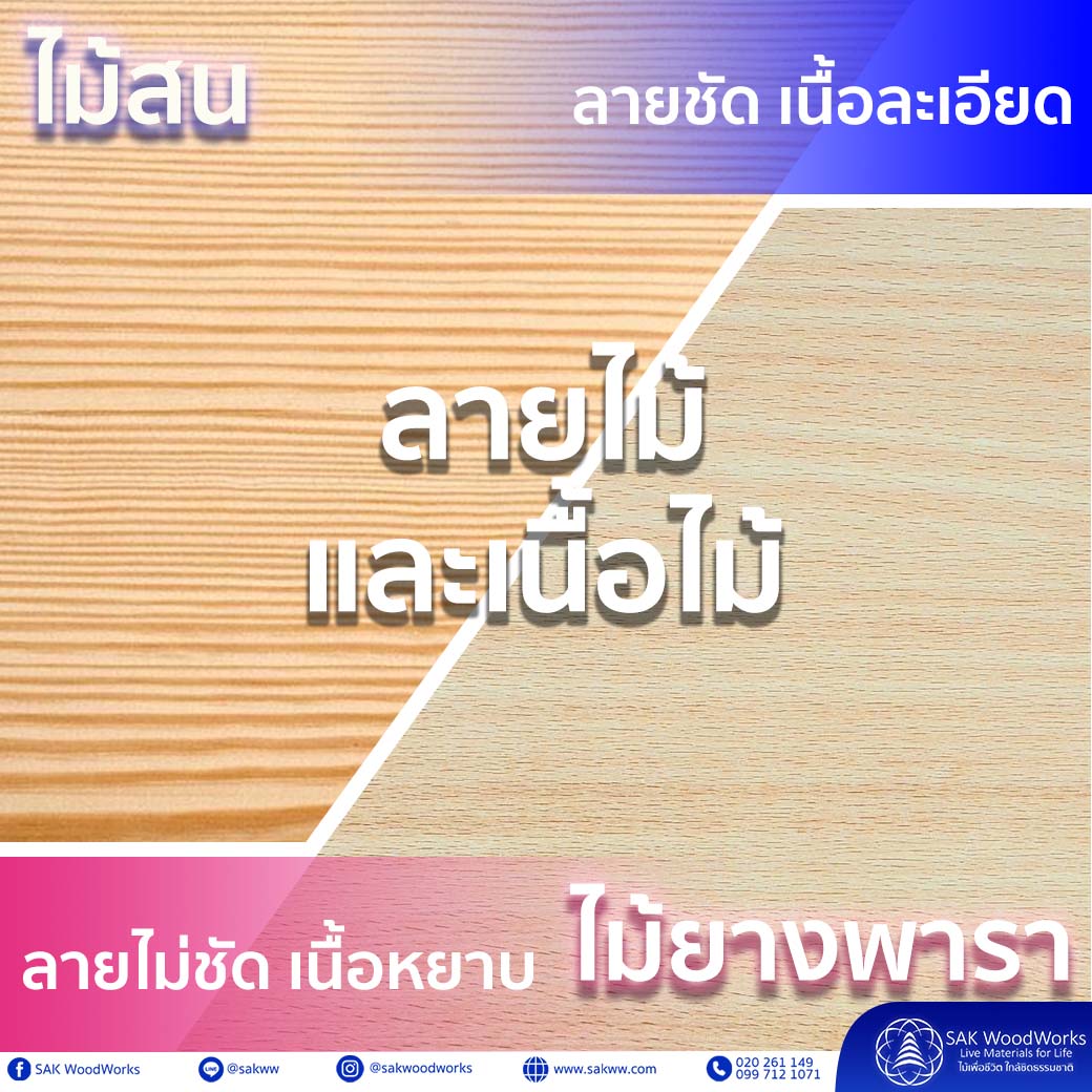 ไม้สน,ไม้ยางพารา,ไม้สนนอก